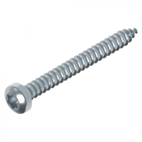 Schraube 3.9 x 38 mm Torx Edelstahl Schweighöfer Tore