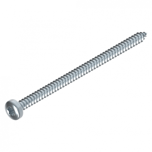 Schraube 4.2 x 70 mm Torx EV Schweighöfer Tore